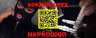 стафф Кингисепп