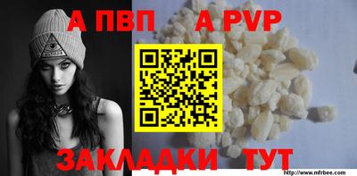 стафф Кингисепп
