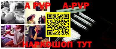 стафф Кингисепп