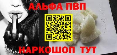 стафф Кингисепп