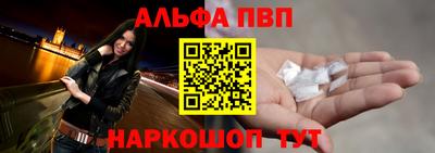 стафф Кингисепп